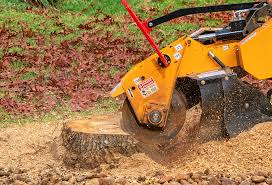 Best Stump Grinding and Removal  in White City, UT